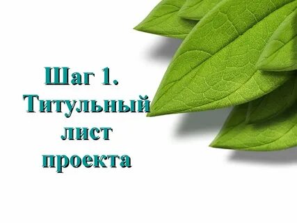 Лист project