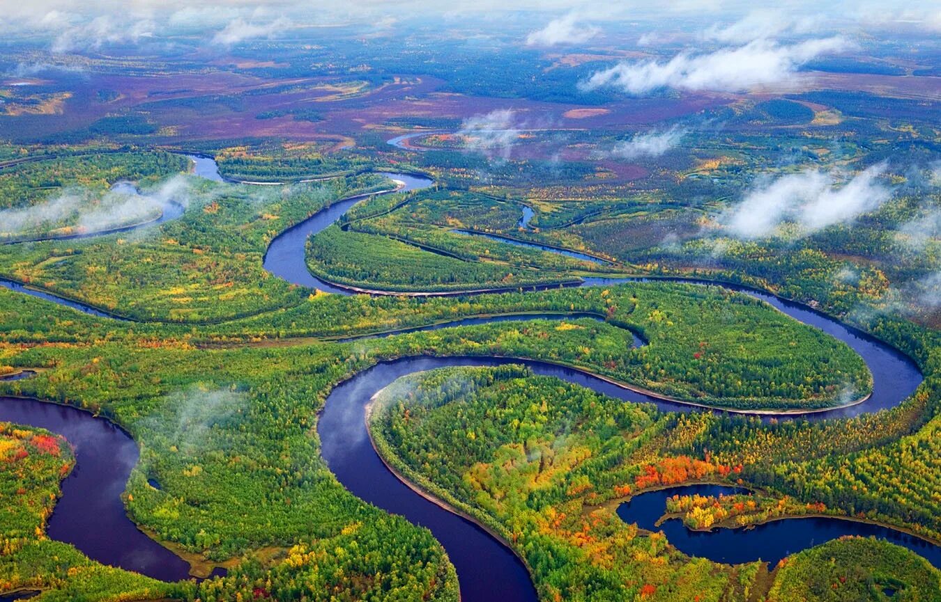 Самые большие реки на планете земля. Долина Миссисипи. Дуглас Престон Извилистая река. Долина реки Миссисипи. Солотча Извилистая река.