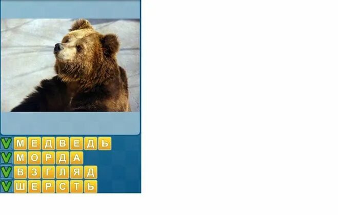 Найди слова животные 2. Ответы на слово медведь. Найди слова животные 9 уровень. Игра Найди слова ответы животные 9 уровень. Игра Найди слова 8 уровень животные.