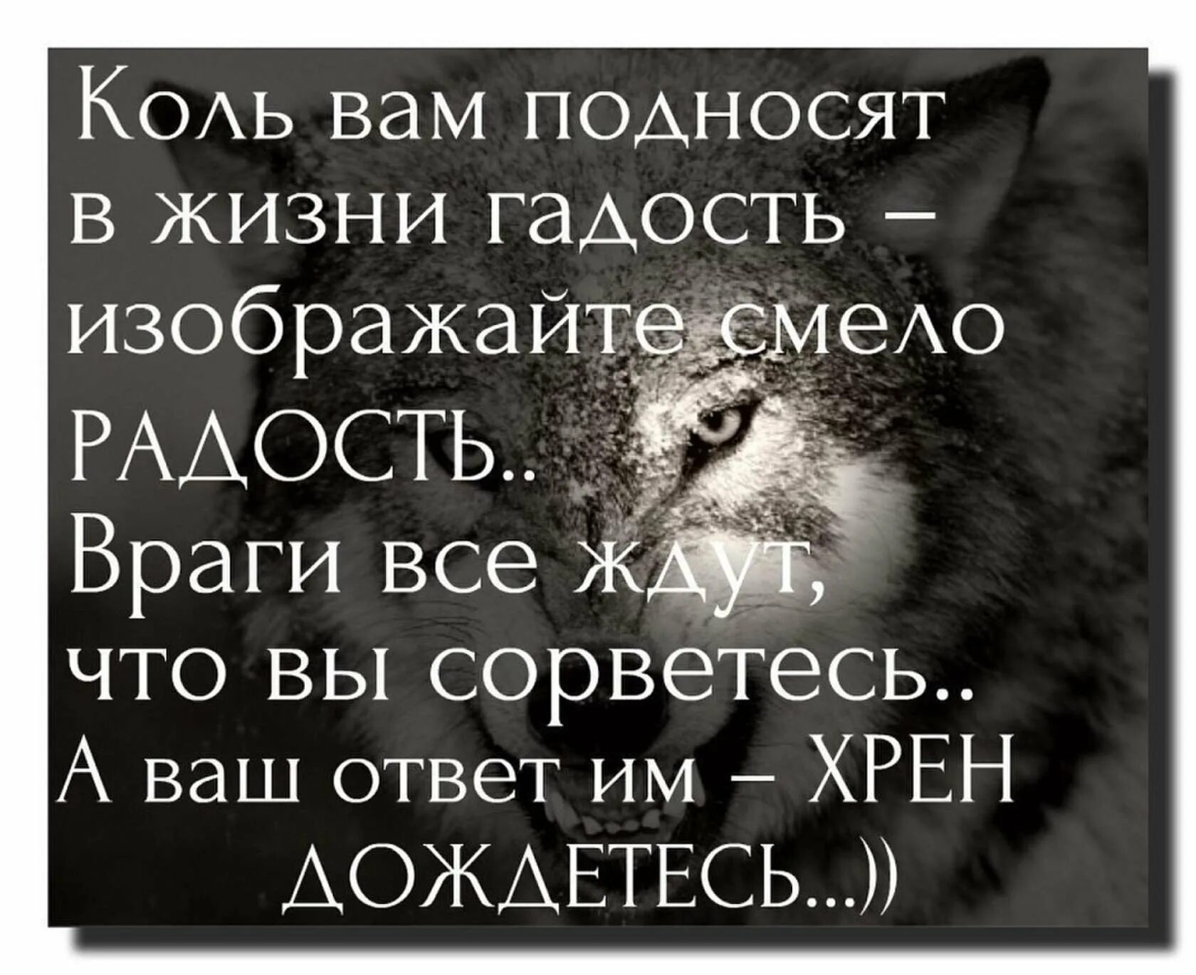 Даже враги становятся друзьями. Фразы про врагов. Высказывания о врагах. Цитаты про врагов. Статусы про врагов.