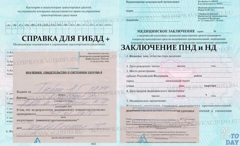 Как получить медицинский документ