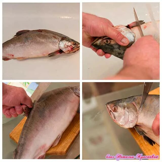 Солим горбушу сухим способом быстро. Солим горбушу сухим способом быстро. Горбуша домашнего посола. Засаливаем горбушу. Горбуша домашнего посола.