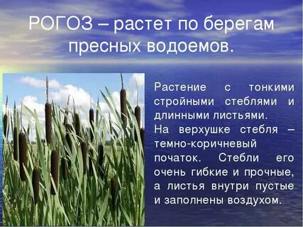 Пресный определение