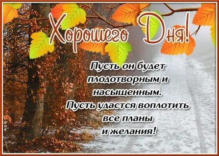 Хорошего дня поздней осени