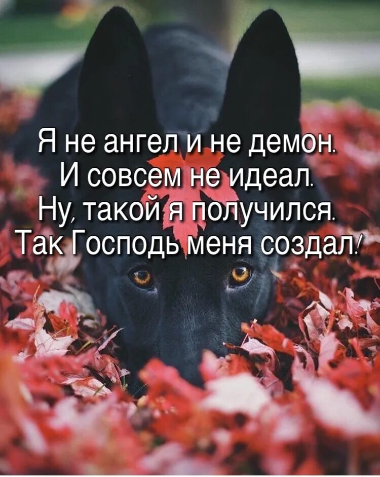 Я не ангел и не демон. Я не ангел я не демон. Я не ангел и не демон и совсем не идеал. И Я вовсе не Господь, я демон.