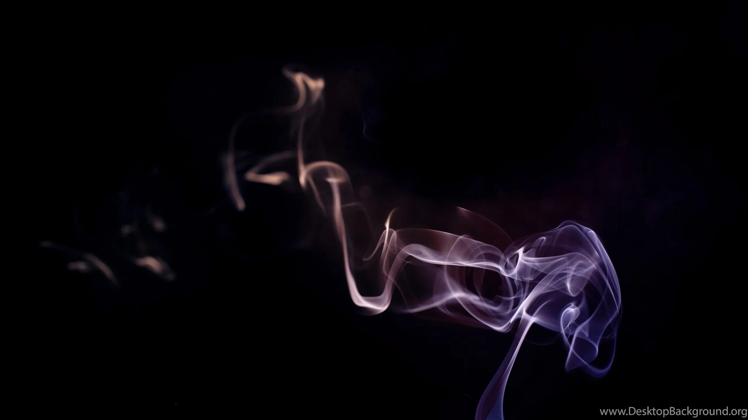 Дым фото. Дым от сигарет. Smoke картинки. Smoke картинки. Smoke картинки.
