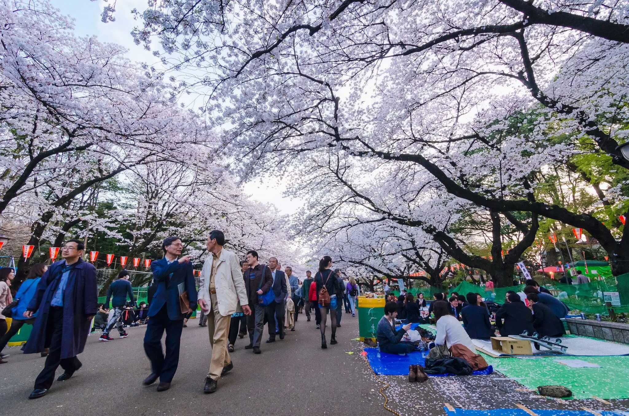 Уэно Токио. Парк Уэно. Район Уэно в Токио. Ueno Park Tokyo. Парка хана