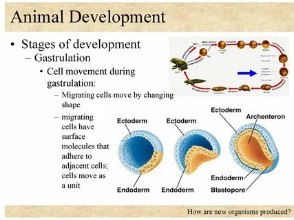 Move cell