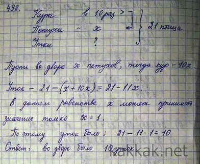У хозяйки было 20 кур и цыплят