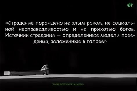 Желания порождают страдания. Планы страдания. Модель поведения при страдании. Наивысшее наслаждение это прекращение страданий. Желание рождает