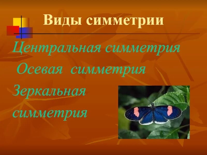 Что такое симметрия в математике 2 класс. Презентация на тему симметрия. симметрия в природе насекомые. виды симметрии презентация. виды симметрии с примерами.