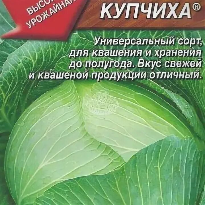 Купчиха сорт капусты отзывы. Капуста купчиха описание. капуста б/к купчиха 0,3гр/10. капуста купчиха. капуста купчиха фото отзывы описание.