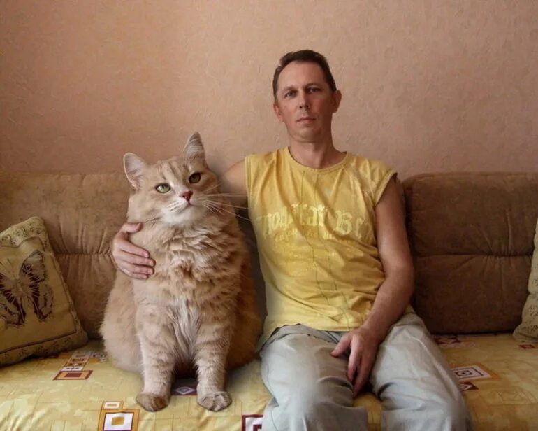 До каких растут коты. Кот и хозяин. коты и хозяева. хозяин котов. коты со своими хозяевами.