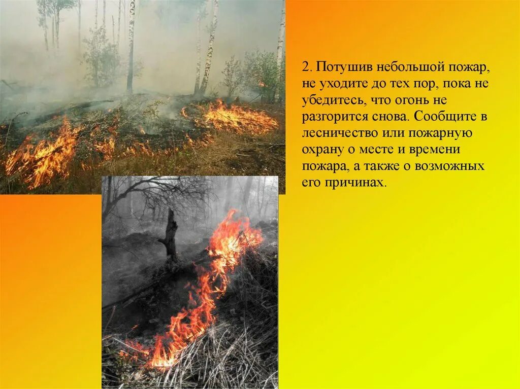 Почему много пожаров. Презентация на тему пожар. Пожар это ОБЖ. Пожар для презентации. Пожар в лесу презентация.
