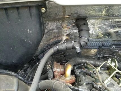 Газель фреон