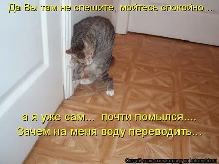 Скажи сюрприз