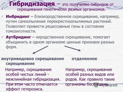 Получение это