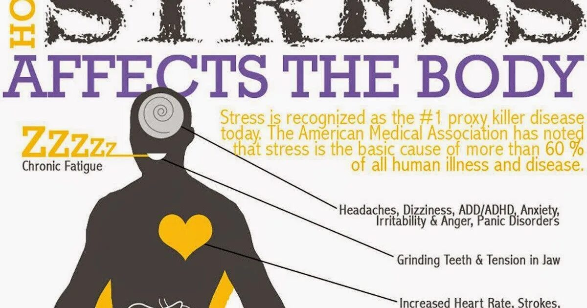 How stress affects our bodies. Стресс и аффект. how stress affects the human body?. the effect of stress on the human body. stress and health.