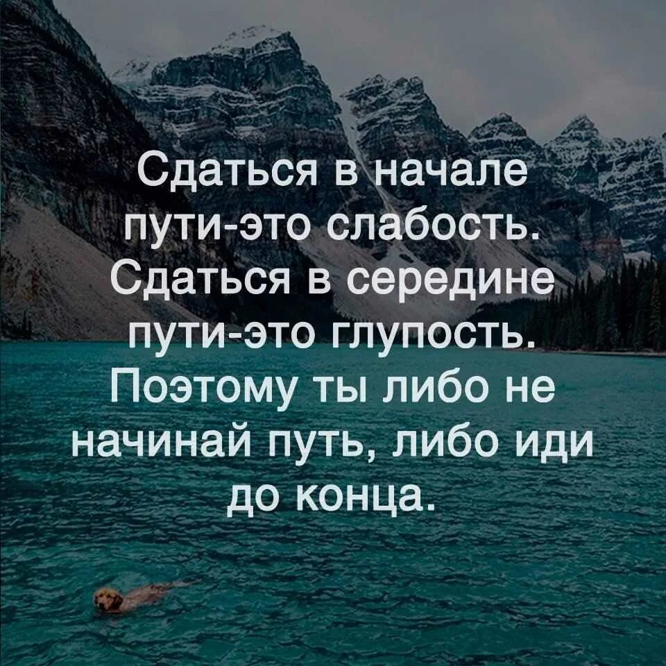 Стоящую цитату