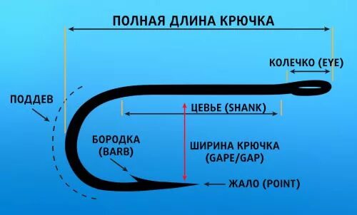 Point translate