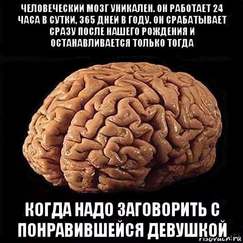 Мозги не делай. Поздравление с днём мозгов. С днем рождения мозг. Что должен мозг. Почему не работает мозг.