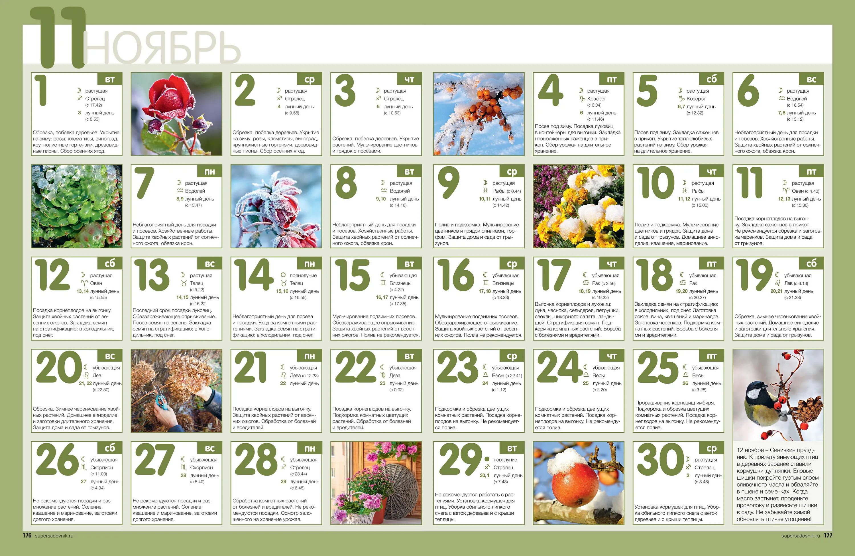 В какие дни можно посадить. Календарь работ в саду в ноябре. Календарь садовода. Календарь садовых работ в саду. Rfktylfhm CFK jujhjl.