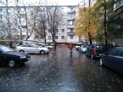 Лебединец старый оскол
