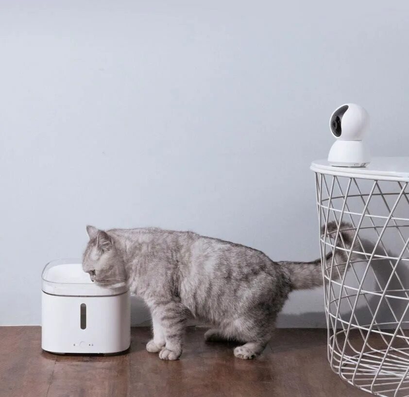 Xiaomi Smart Pet Water Fountain. Умная автопоилка для животных Xiaomi Smart Pet Fountain. Автопоилка Xiaomi Petoneer Smart Pet Water Dispenser. Xiaomi Smart Pet Fountain Filter. Xiaomi pet fountain