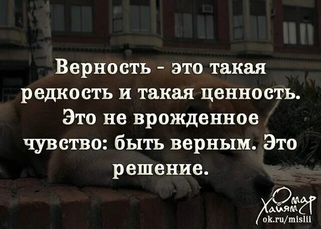 Останется верность. Афоризмы про верность. Высказывания честность и верность ..... Цитаты про верность. Афоризмы на тему верности.