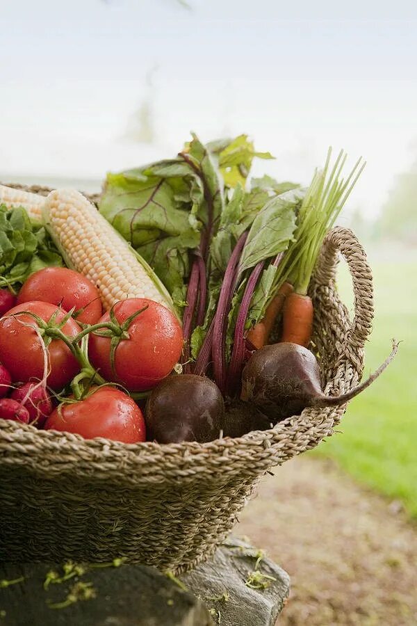 Как удалить нитраты из овощей. Свежие овощи. Корзина с овощами. Овощи на столе. Продукты с огорода.