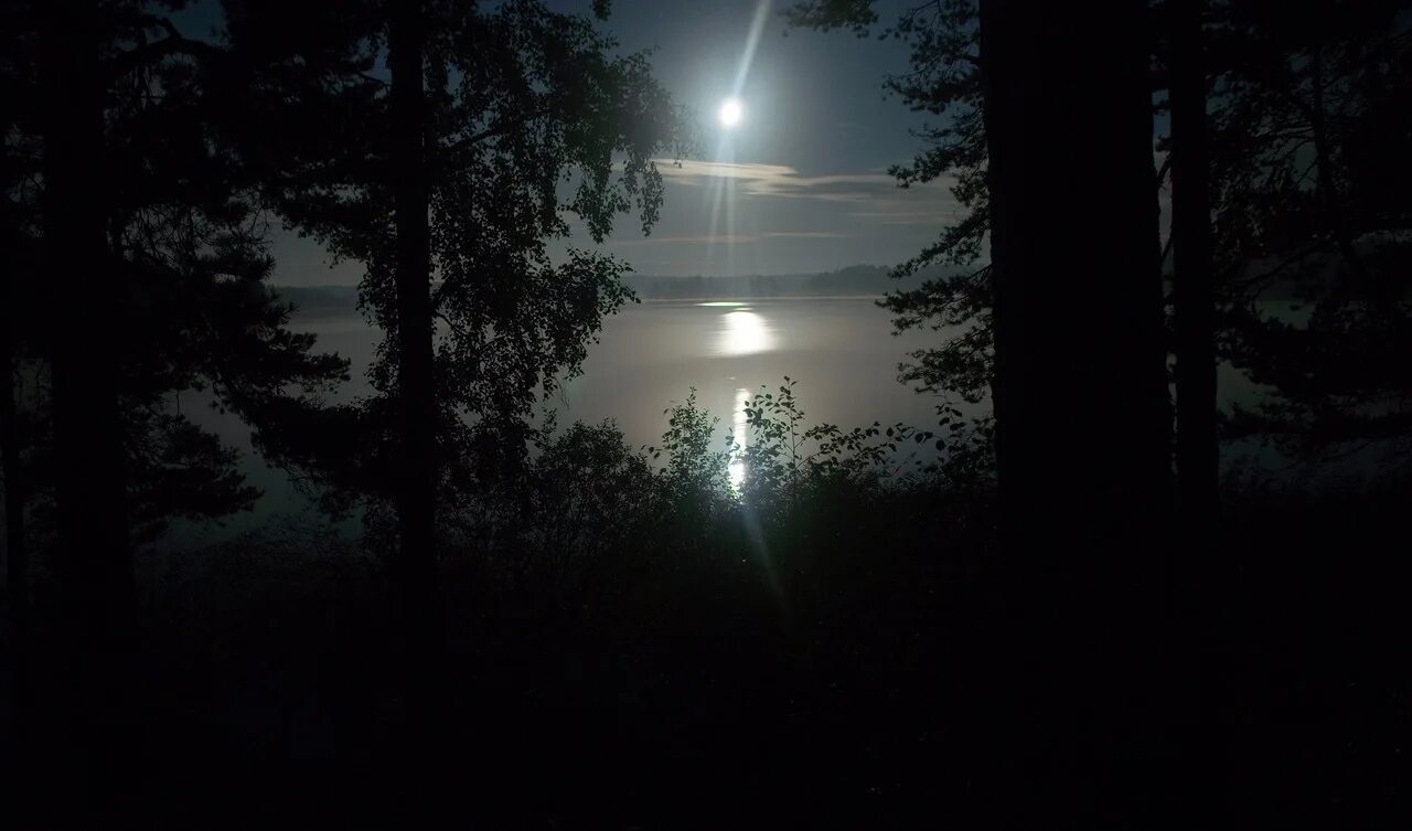 Утро шорох