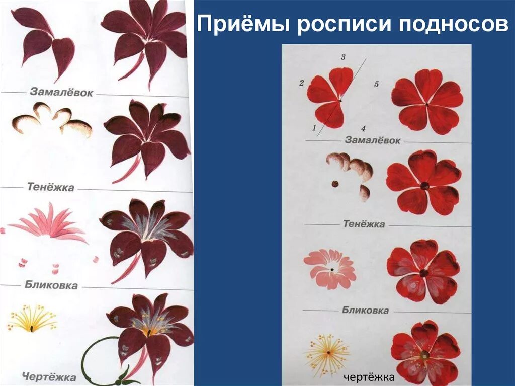 Жостовская роспись элементы росписи для детей. Жостовский поднос (жостово). Жостовский поднос (жостово). Жостово элементы росписи для детей. Приемы жостовской росписи.