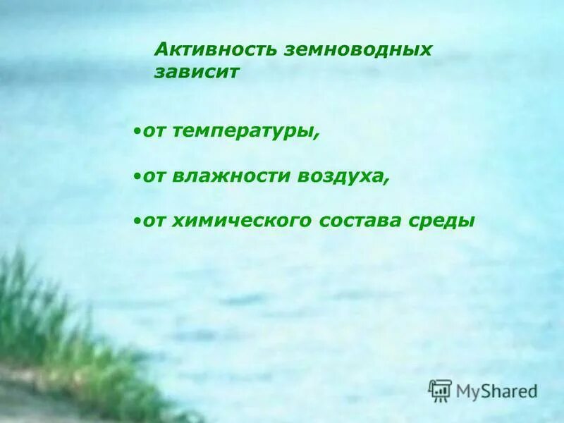 активность земноводных. класс земноводные общая характеристика таблица. земноводные обитают. черты приспособленности лягушки к жизни. активность земноводных.