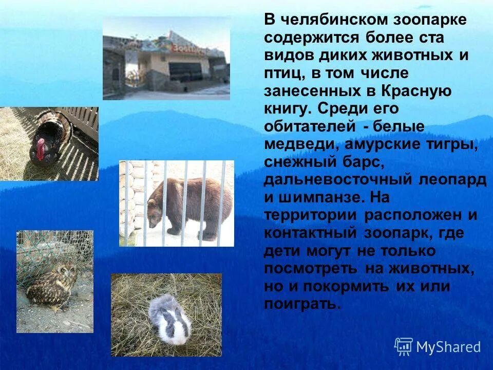 ограбление банка арт. более сотней. более сотней. более сотней. свыше ста или сотни.