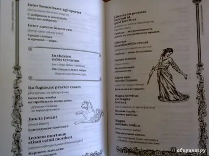 Слово книга на латинском