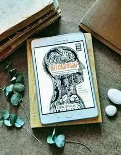 Центре внимания книга