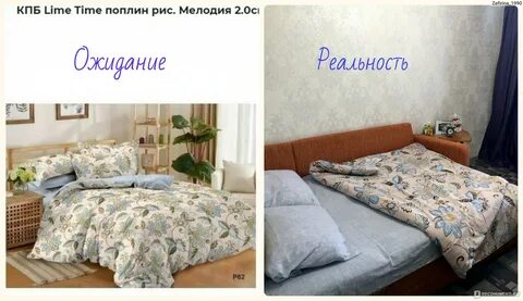 Любимый василек ивановский