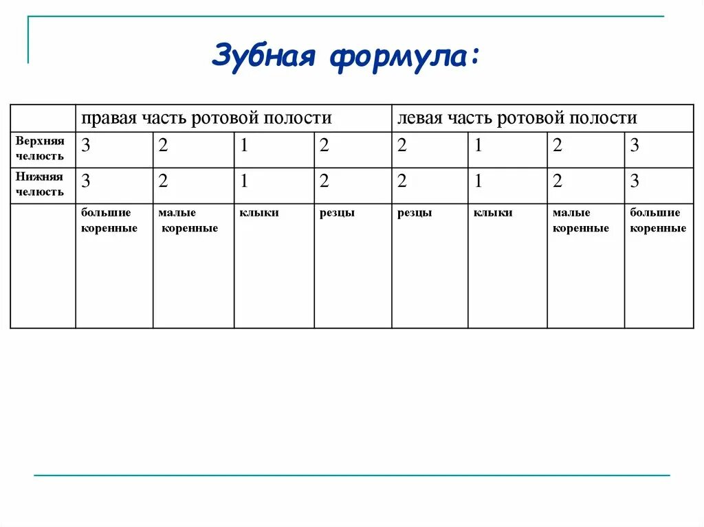 Образец справки о санации рта. Справка с зубной формулой. Справка стоматолога с формулой зубов. Справка с зубной формулой от стоматолога. Зубная формула стоматология справка.