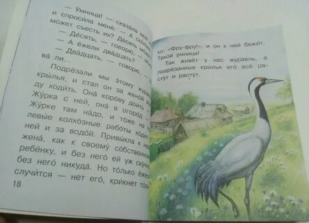 Журка потянулся к полкам сочинение