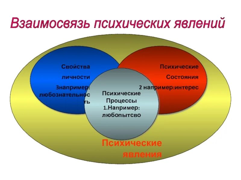 Соотношение интересов личности и общества
