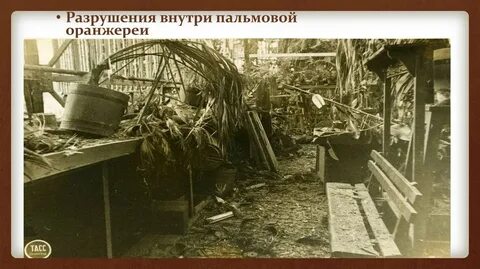 Ленинградские садоводы