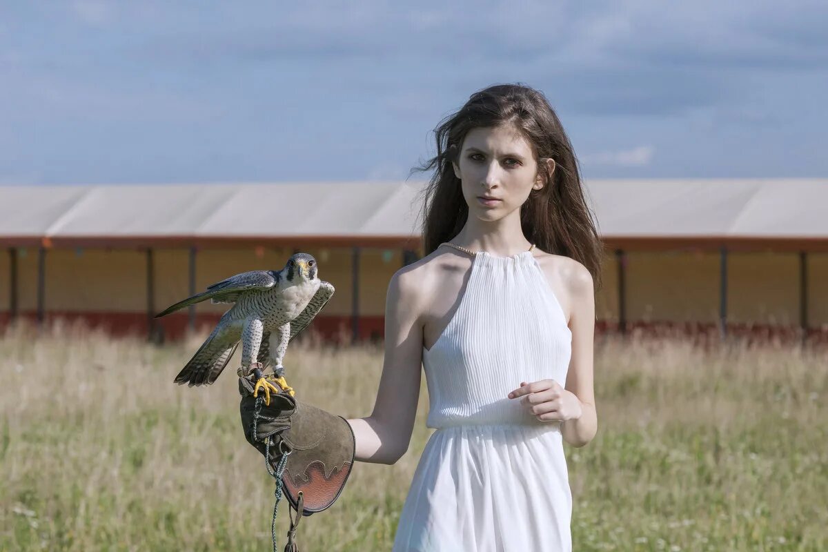 Девушка птица. Девушка с совой. Сокол живопись. Девушка птица. Девушка с соколом.