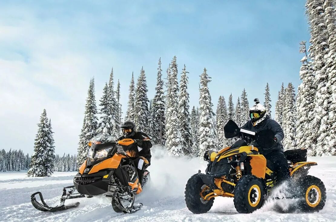 Куплю снегоход квадроцикл. Квадроцикл Ski-Doo. Квадроцикл снегоход. Зимний квадроцикл. Квадроцикл зимой.