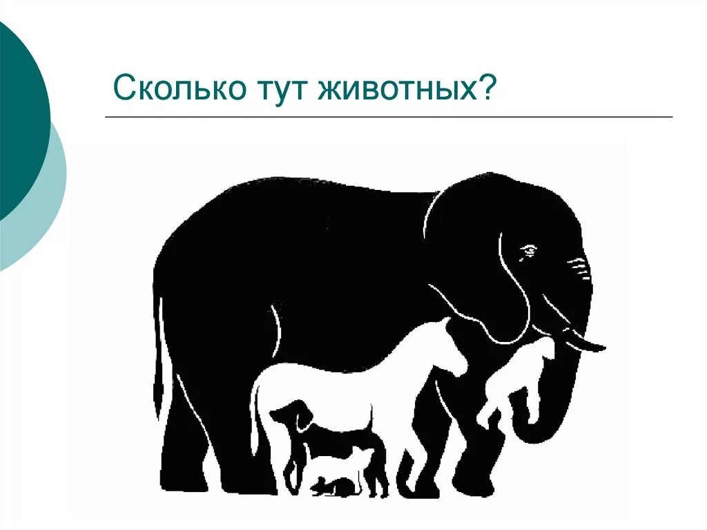 Я ее тут не вижу. Сколько здесь животных. Загадка сколько животных на картинке. Сколько животных изображено на картинке. Оптические иллюзии с животными.