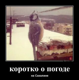 Погодка форум