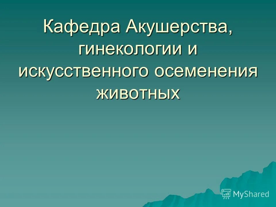 кафедра акушерства и гинекологии 1