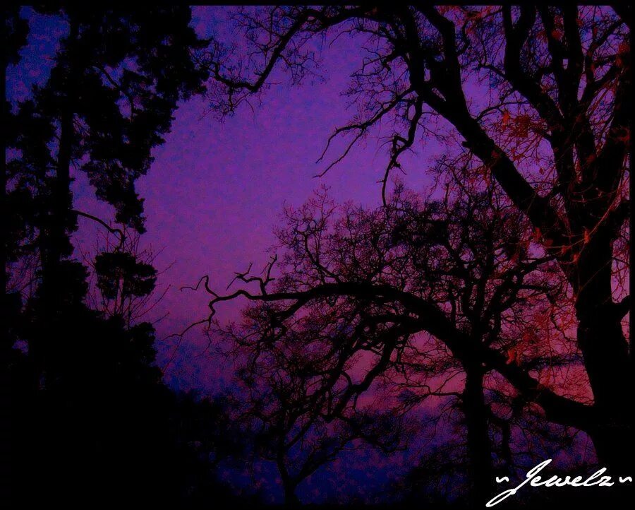 Magical Celtic Music 432Hz: Drift Into Calmness and Away From Stress - YouTube