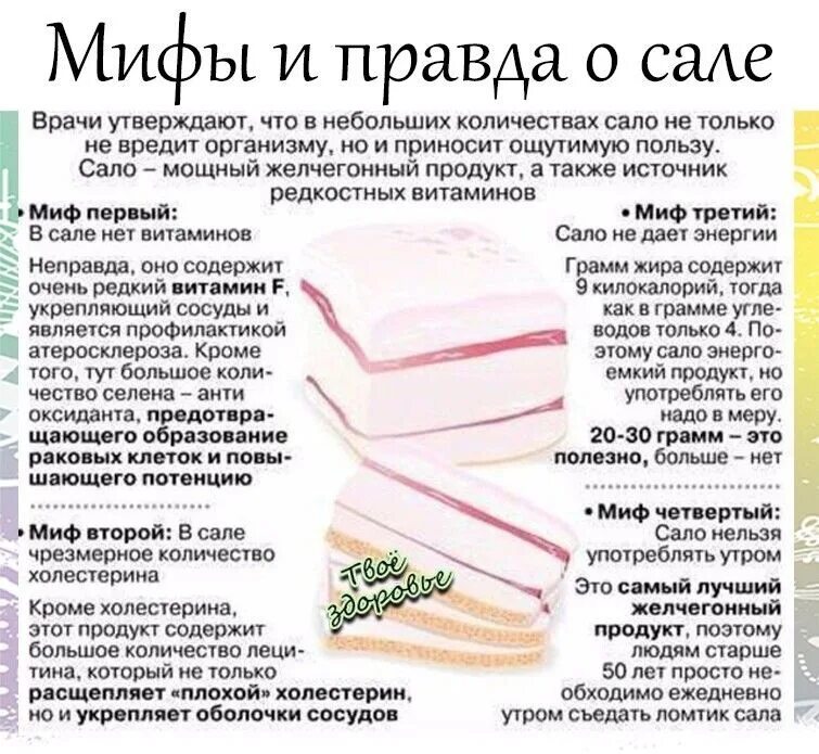 Чем полезно сало. Мифы про сало. Чем полезно сало для организма. Чем полезен сало.