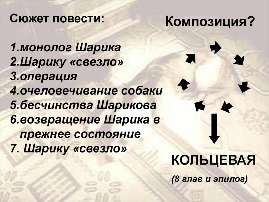 План повести Булгакова Собачье сердце. Композиция повести Собачье сердце. Булгаков Собачье сердце план произведения. Булгаков Собачье сердце сюжетный план. Почему не понравились шарику кальсоны пациента профессора