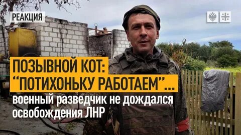 Позывной кот мурманск